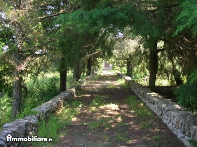 Gr.Im.Fin. di Gianfranco Greco, Vendita de Casa en    Ceglie Messapica Foto4 