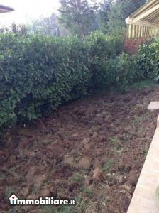 Immobiliare Mediaservim, Vendita de Appartamento en    Landriano Foto5 