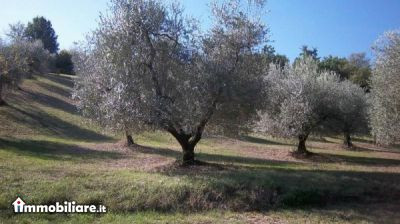 ROMA NORD IMMOBILIARE, Vendita de Casa en    Fiano Romano Foto4 