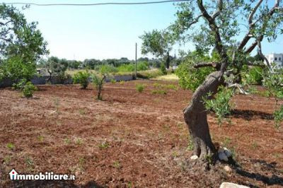 Gr.Im.Fin. di Gianfranco Greco, Vendita de Casa en    Ostuni Foto3 