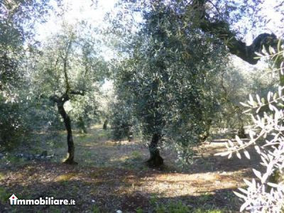 Venta - Appartamento 4 locali - Livorno 