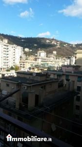 Venta - Appartamento 4 locali - Greve In Chianti 