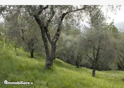 SM Immobiliare, Vendita de Casa en    Bassano Del Grappa Foto2 