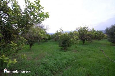 Propiedad in Alessandria