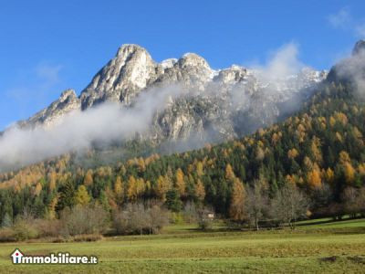 Venta - Appartamento 5 locali o piu - Trino 