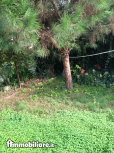 Venta - Appartamento 3 locali - Novate Milanese 