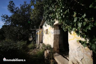 Alquiler - Appartamento Monolocale - Cisterna Di Latina 