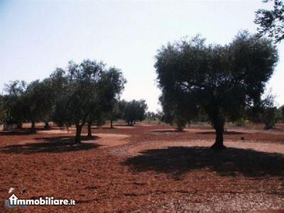 IMMOBIFIN, Vendita de Casa en    Oria Foto4 