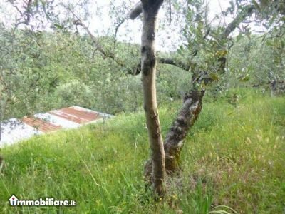 Immobiliare D'Ovidio, Vendita de Appartamento en    Itri Foto2 