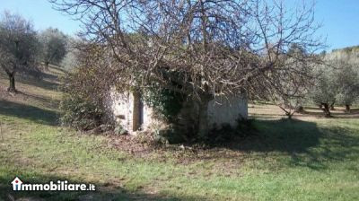 Venta - Casa 2 locali - Radda In Chianti 