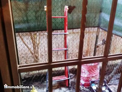 Immobiliare Guido Reni, Vendita de Appartamento en    Bologna Foto6 