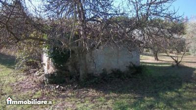 Propiedad in Radda In Chianti