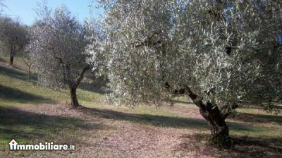 ROMA NORD IMMOBILIARE, Vendita de Casa en    Fiano Romano Foto7 