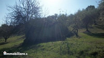 ROMA NORD IMMOBILIARE, Vendita de Casa en    Fiano Romano Foto5 