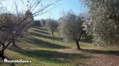 ROMA NORD IMMOBILIARE, Vendita de Casa en    Fiano Romano Foto6 