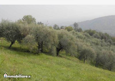 Venta - Casa Monolocale - Bassano Del Grappa 