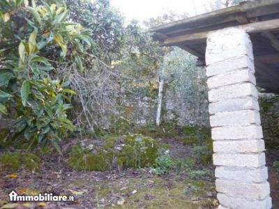 Propiedad in Livorno