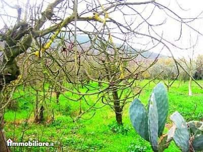 Venta - Casa 5 locali o piu - Appiano Sulla Strada Del Vino 