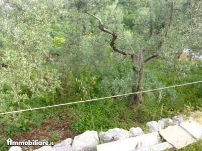 Immobiliare D'Ovidio, Vendita de Appartamento en    Itri Foto3 